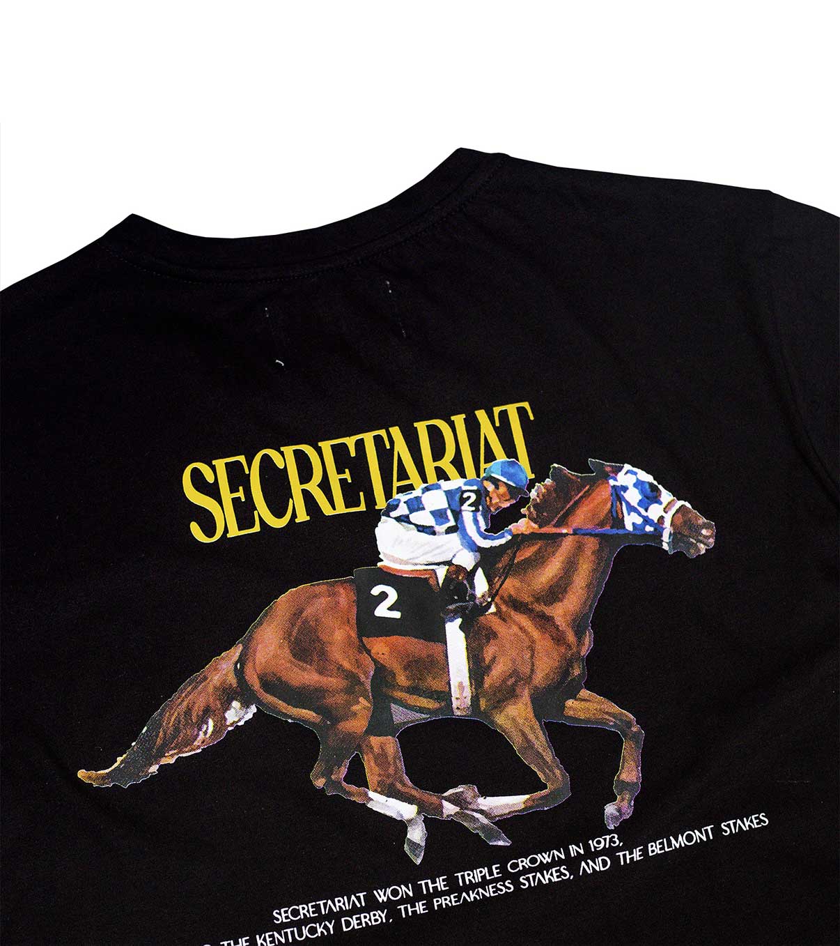 Secretariat Black