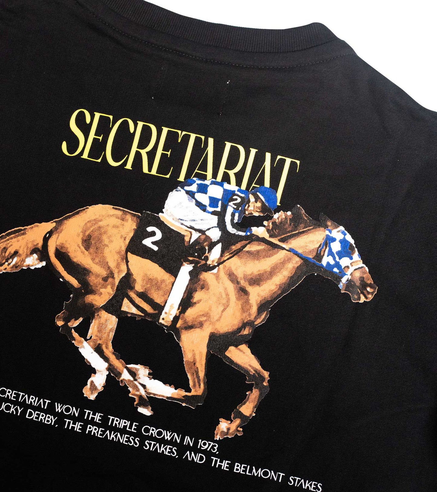 Secretariat Crewneck