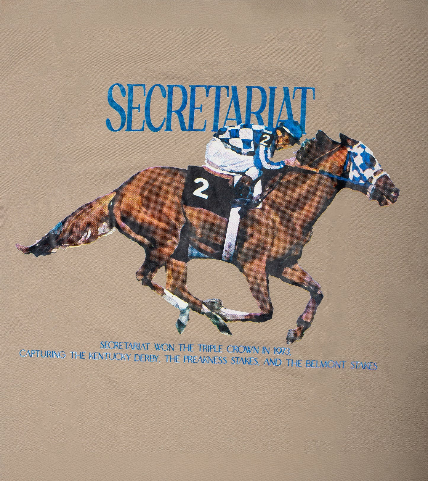 Secretariat Feather